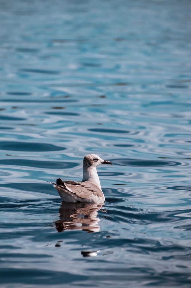 Photograph by Alex Vargas