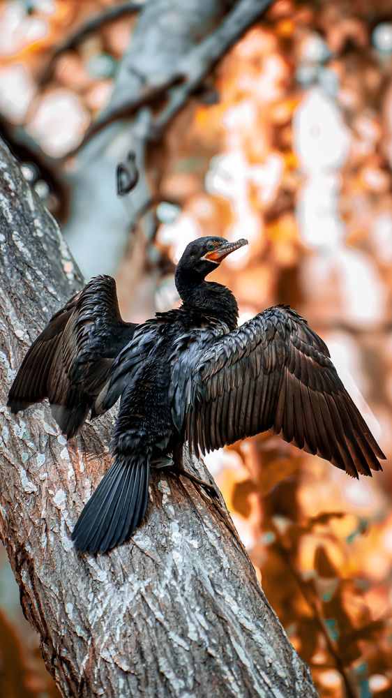 Photograph by Alex Vargas