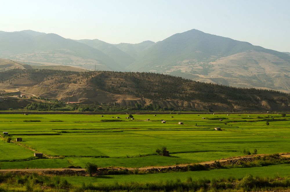 Photograph by Sahar Jafari