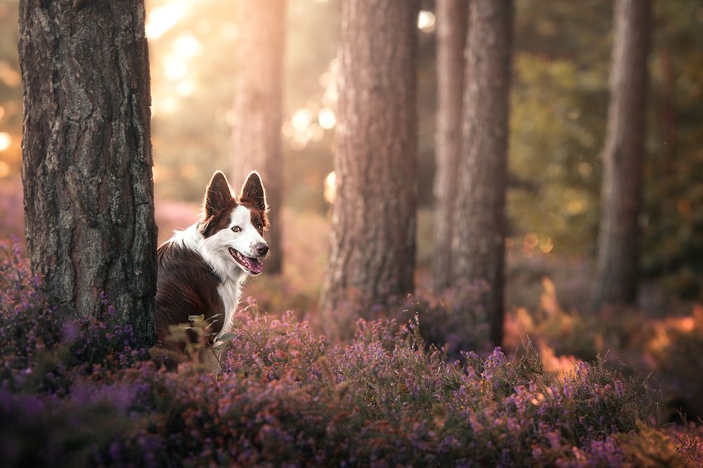 Photograph by Laura Quintanel