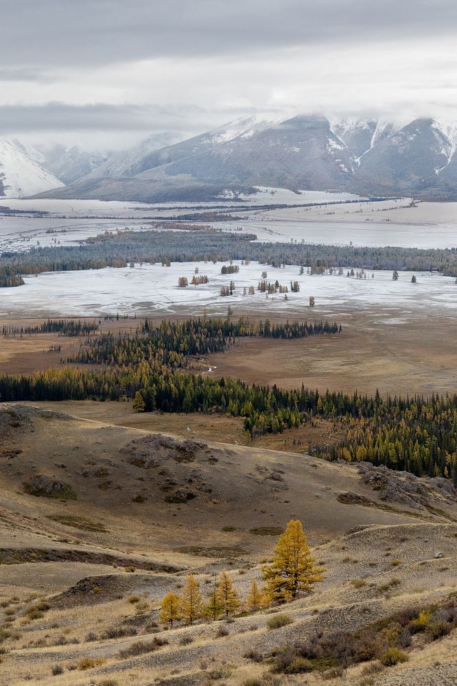 Photograph by Михаил Конарев