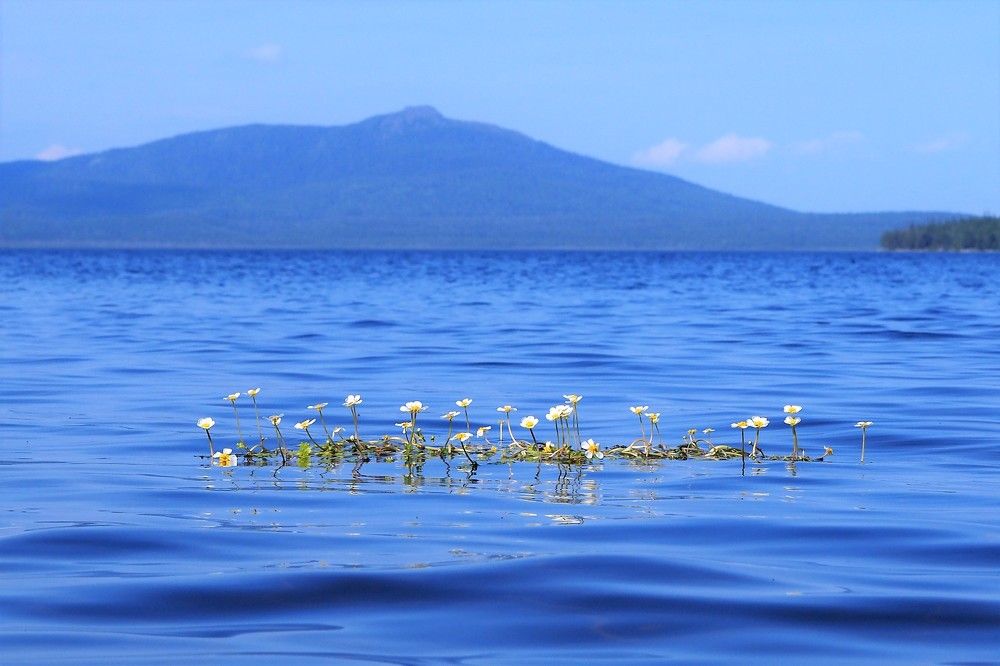 Photograph by Сергей Пушкин
