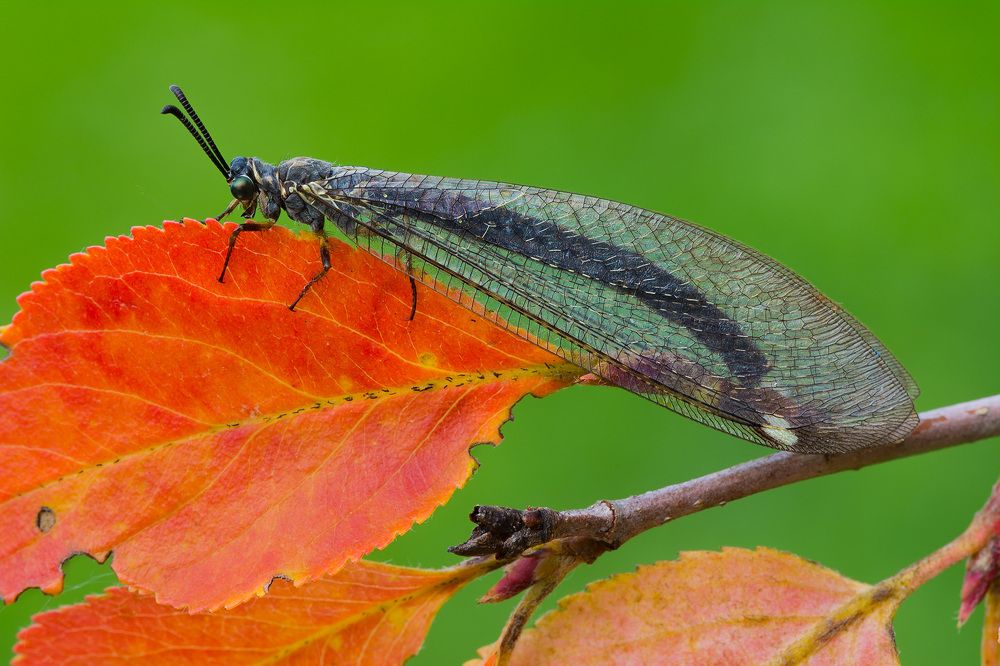 Photograph by Михаил