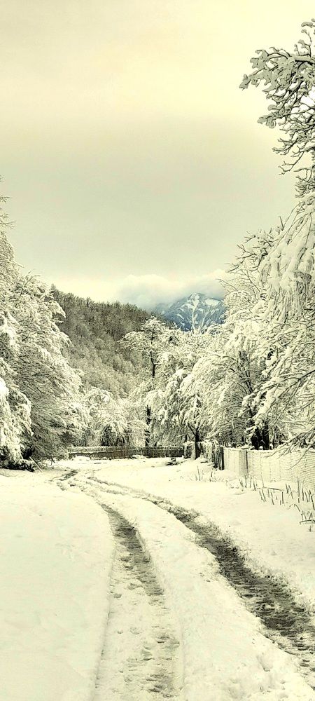 Photograph by Мирон Сергей