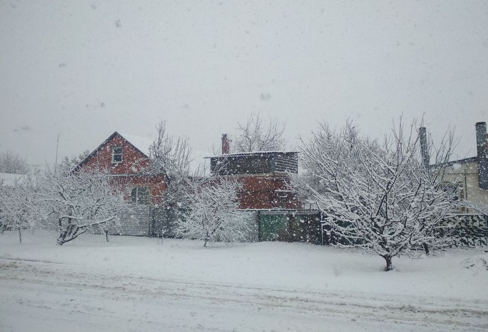 Photograph by Дарья Зотова