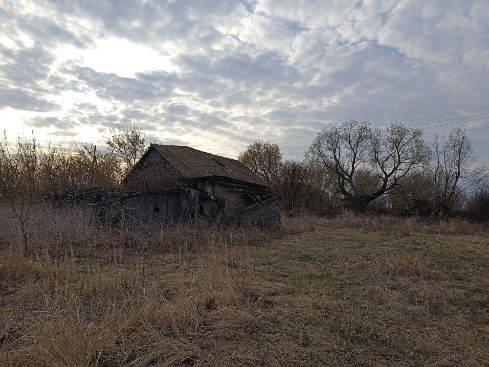 Photograph by Мария Симоненко