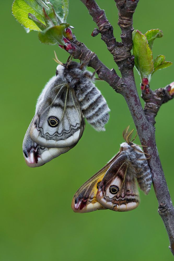 Фотография автора Михаил