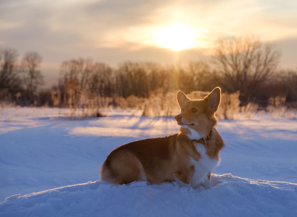 Photograph by Валерия Дурнева