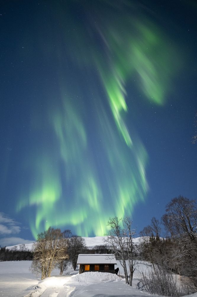 Photograph by Carlo Murenu