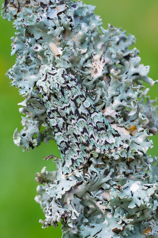 Фотография автора Михаил