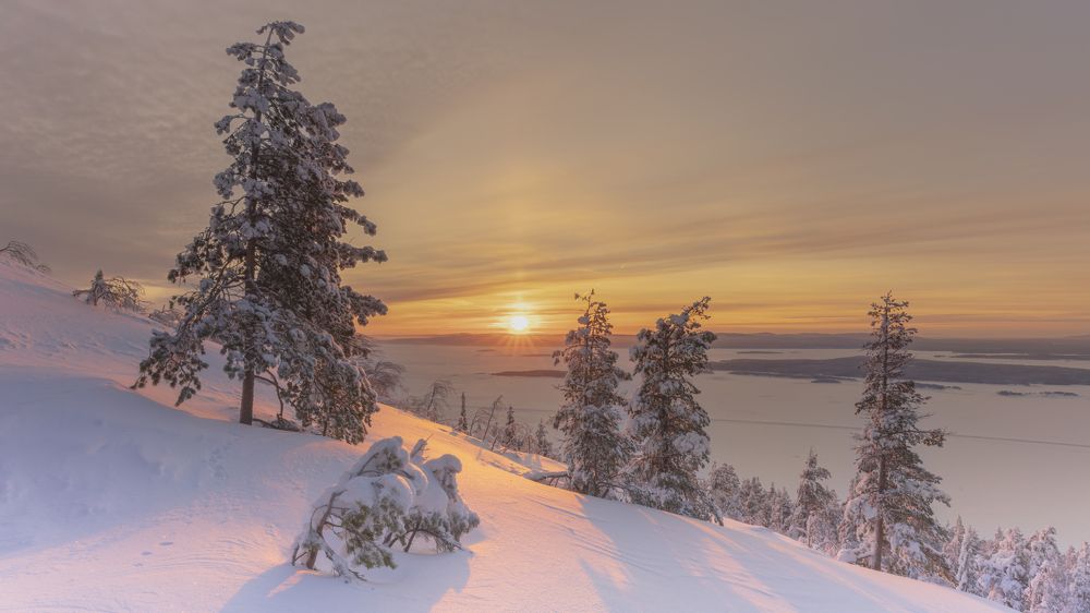 Photograph by Илья Еремеев