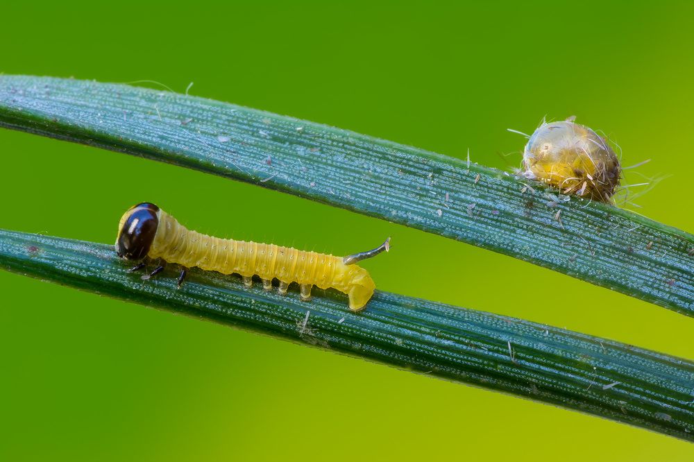Фотография автора Михаил