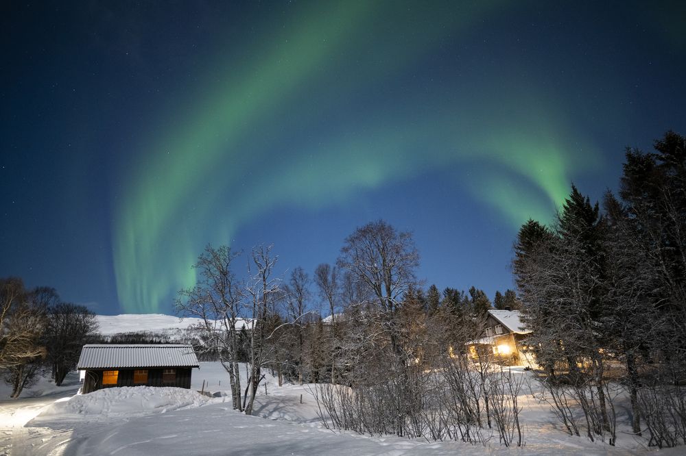 Photograph by Carlo Murenu