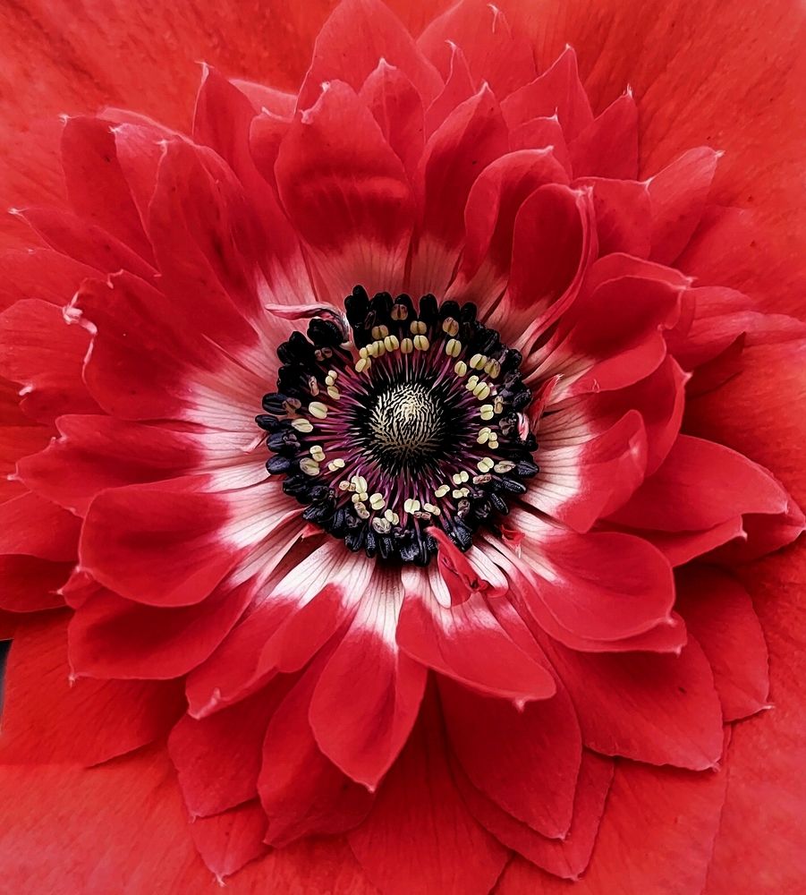 Photograph by Оксана Лоншакова