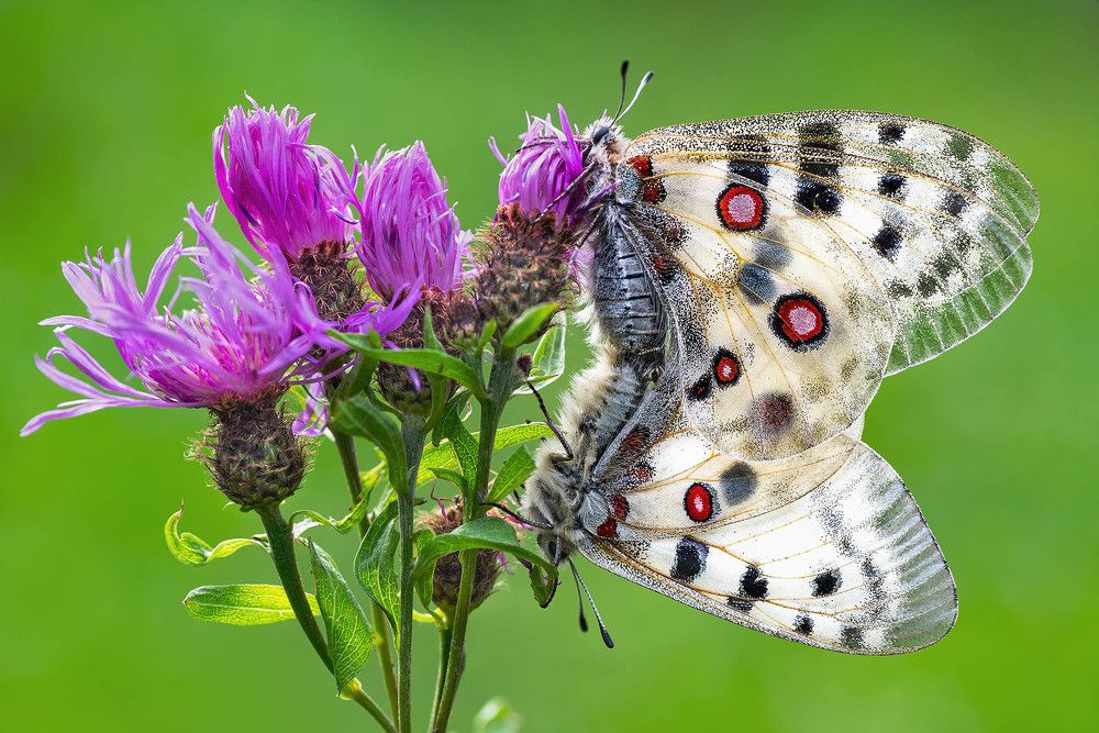 Photograph by Михаил