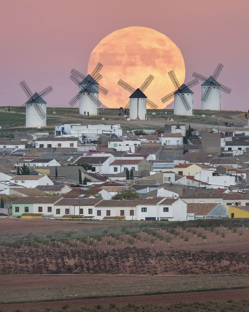 Full moon with mauve sky