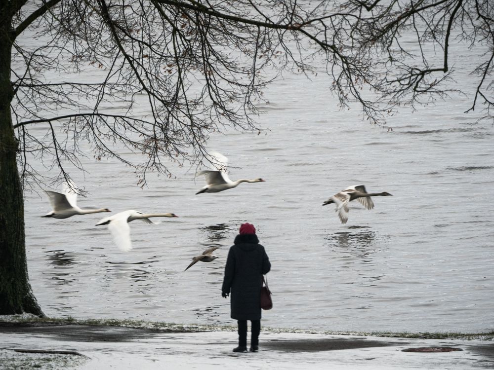 Фотография автора Артур Богородицкий