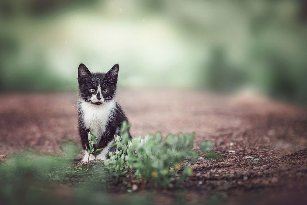 Photograph by Наталия Матвеева