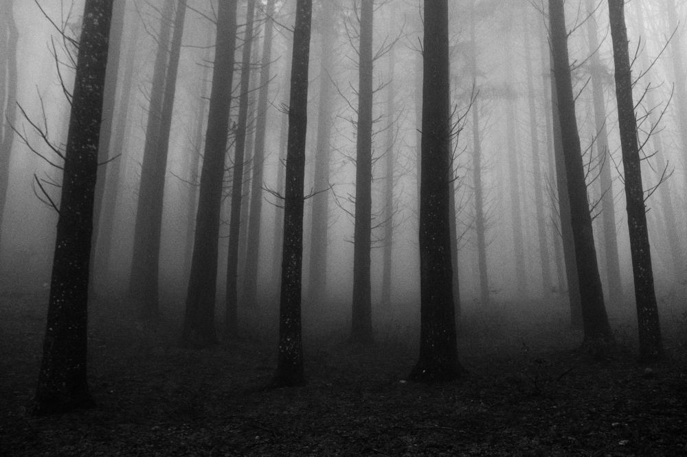 Photograph by Elliott Grieshofer