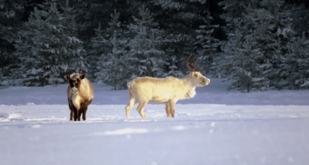 Photograph by Екатерина Филина