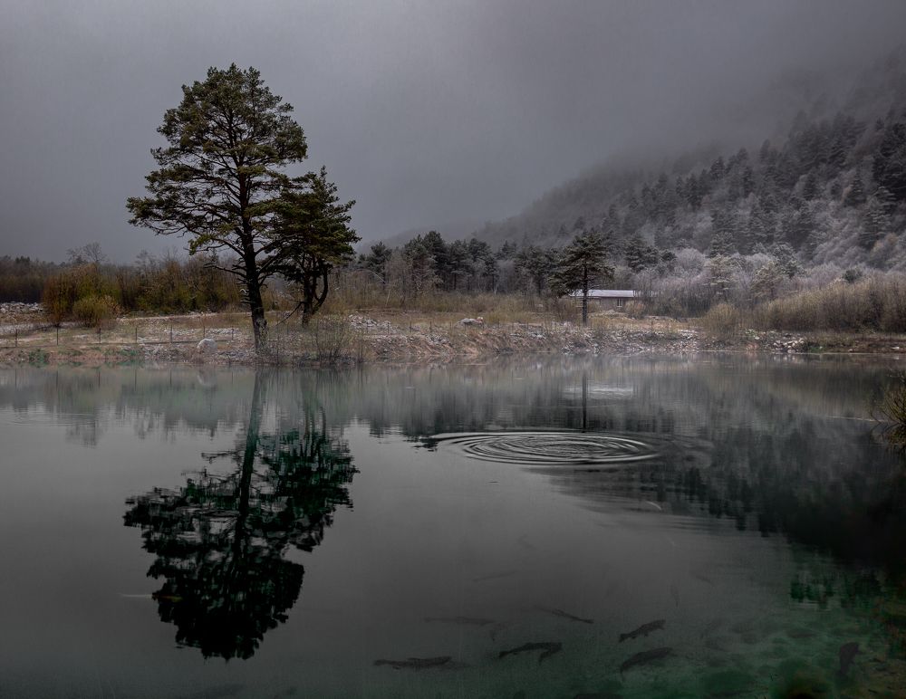 Photograph by Nesterov Konstantin