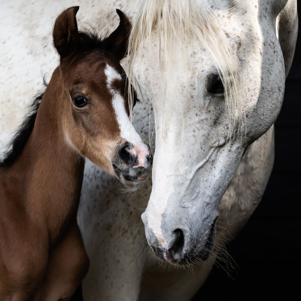 Photograph by Maria Shutova