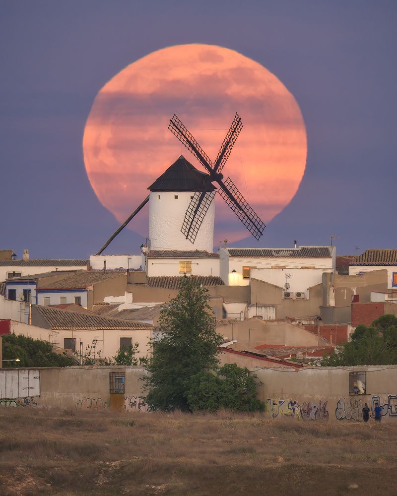 Photograph by Jesús Manzaneque