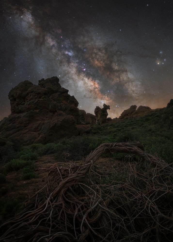 Photograph by Riccardo Morresi