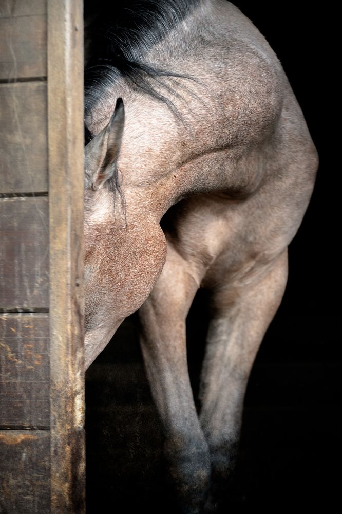 Photograph by Maria Shutova