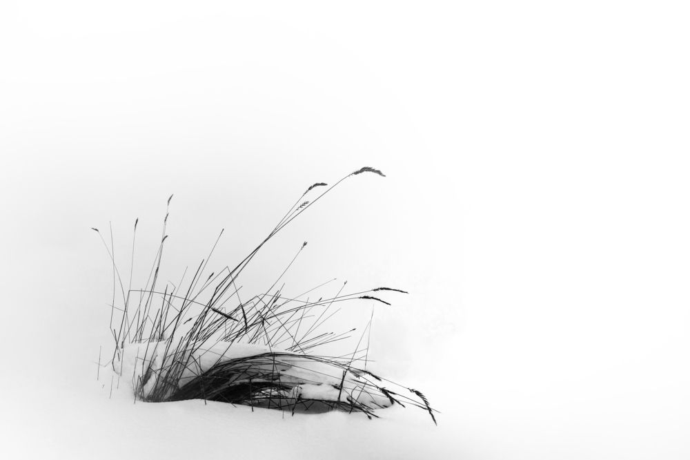 Photograph by Олег Крец