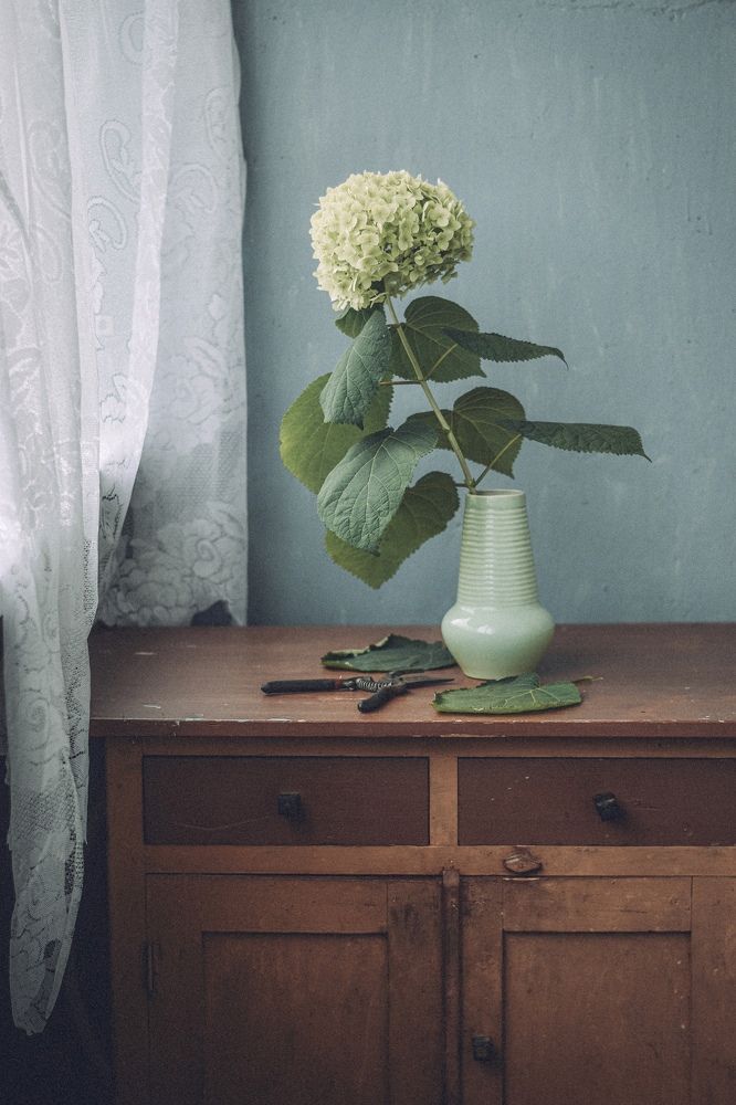 Photograph by Ольга Семина