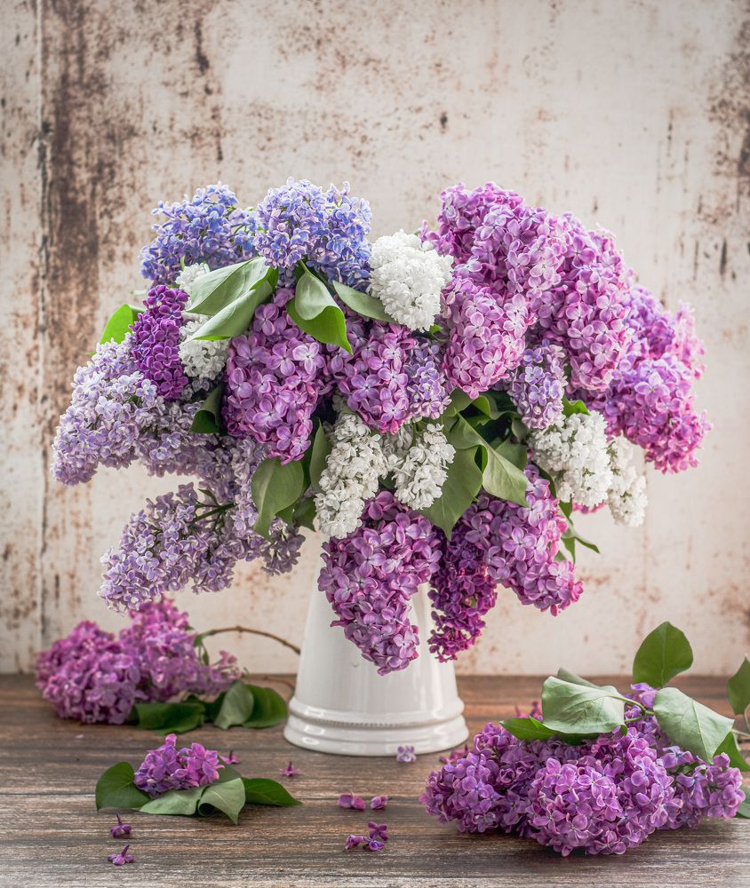 Photograph by Ольга Семина