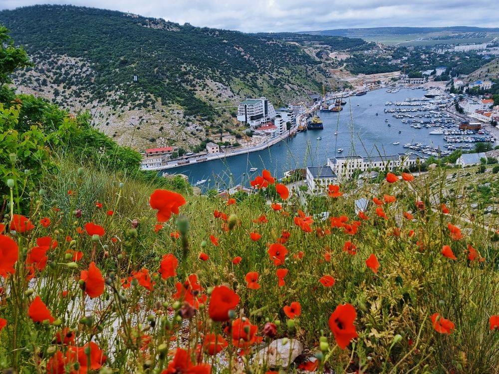 Photograph by Константин Дядюн