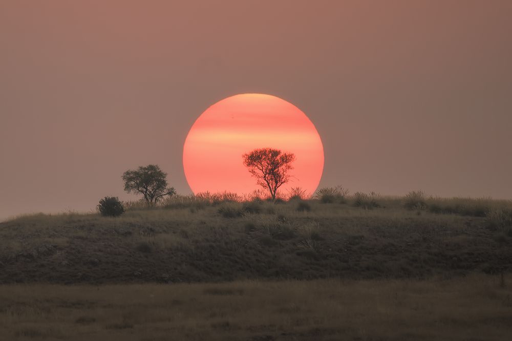 Photograph by Jesús Manzaneque