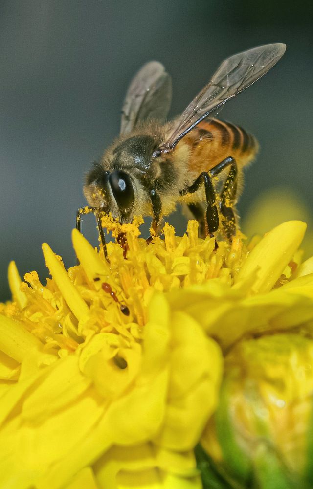 Photograph by Priyanka Dey Das