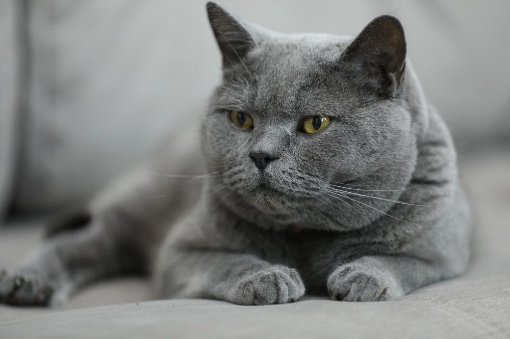 Photograph by Наталья Дунаевская