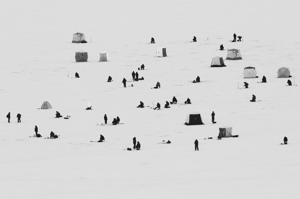 Photograph by Владимир Грибков