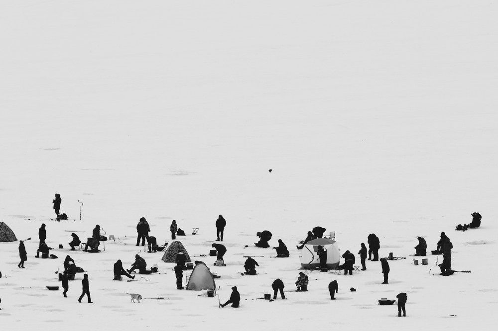 Photograph by Владимир Грибков