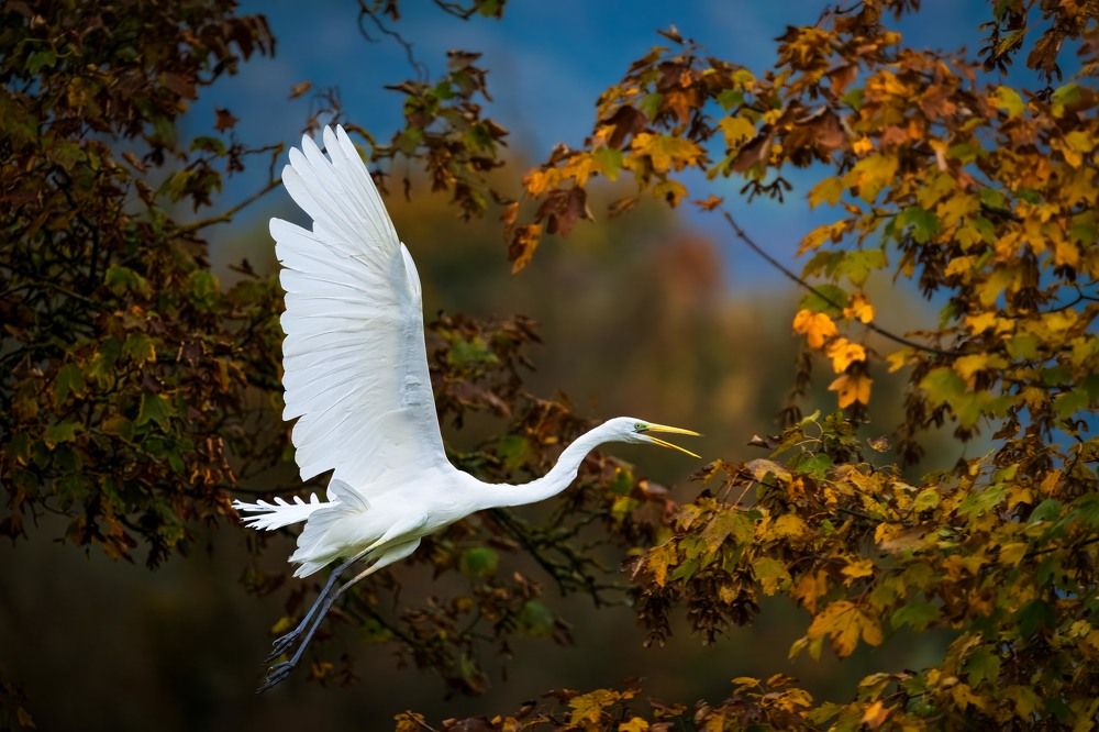 Photograph by Lance Chennault