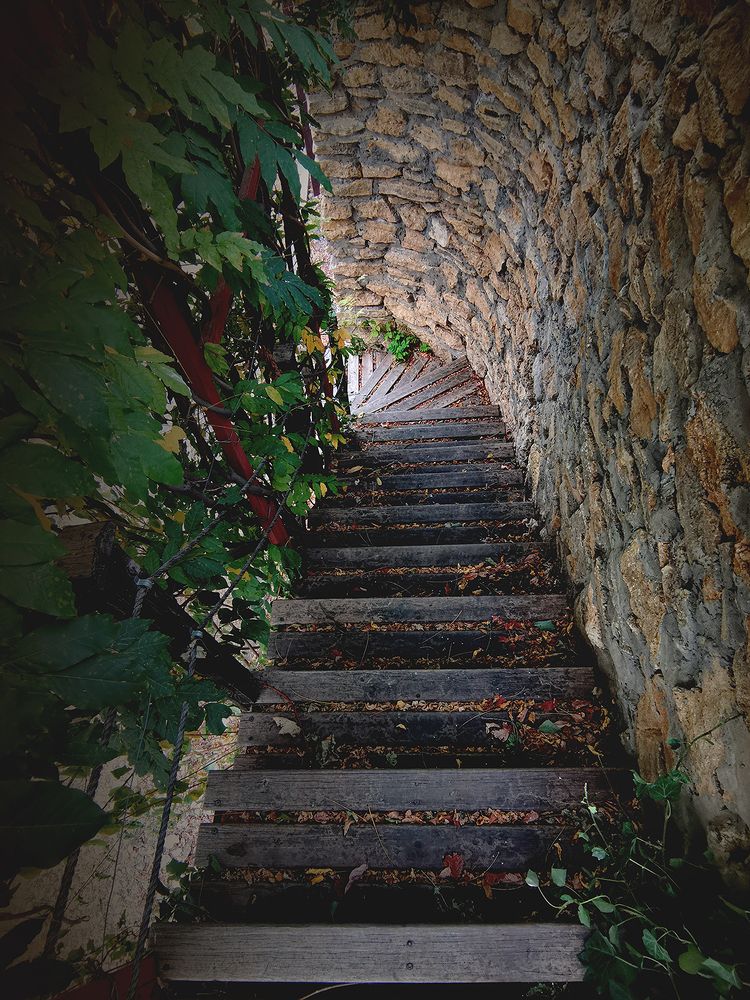 Вниз по лестнице.