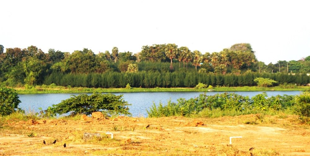 Фотография автора Nadarajan Lakshmanswamy