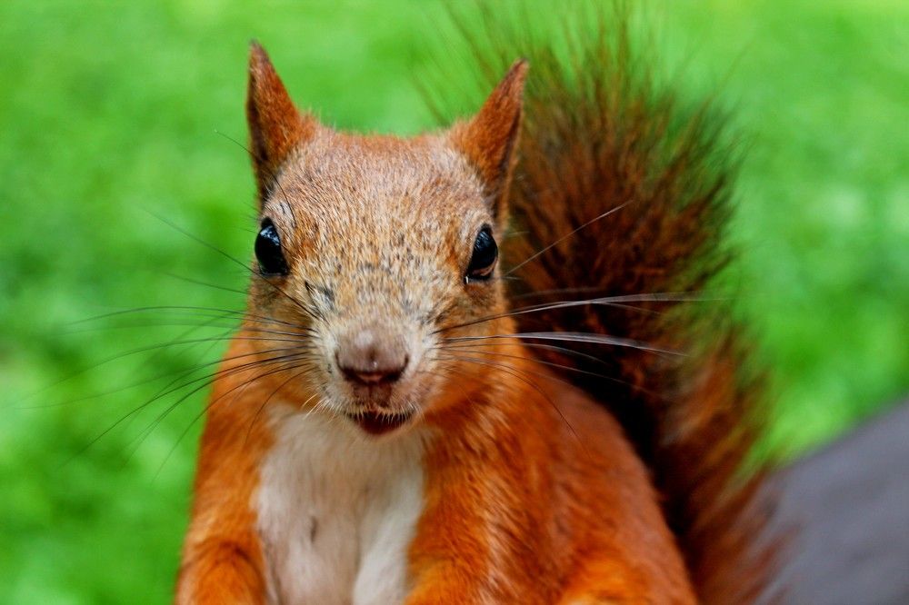 Photograph by Дмитрий Симагин