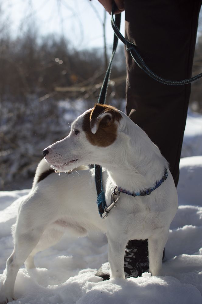 Photograph by Kristina Domanina