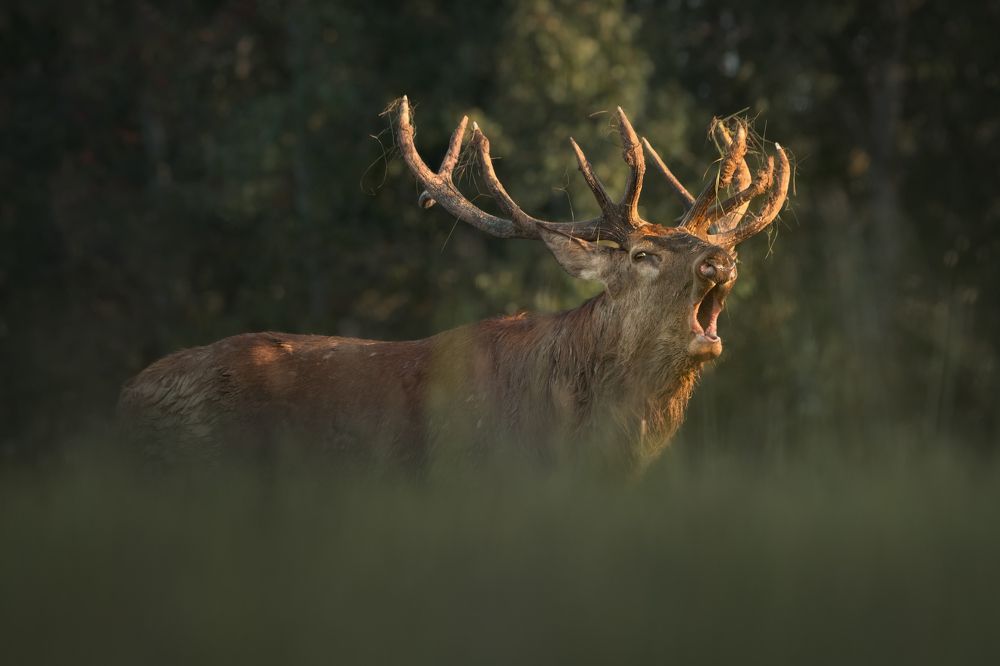 Фотография автора Рудченко Ольга