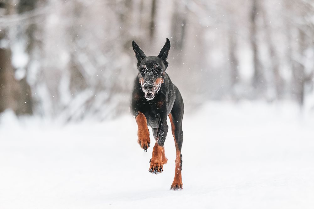 Photograph by Шитиков Владимир