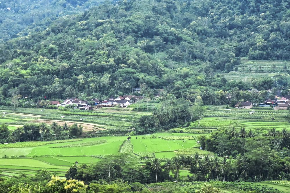 Photograph by Pujo Cahyono