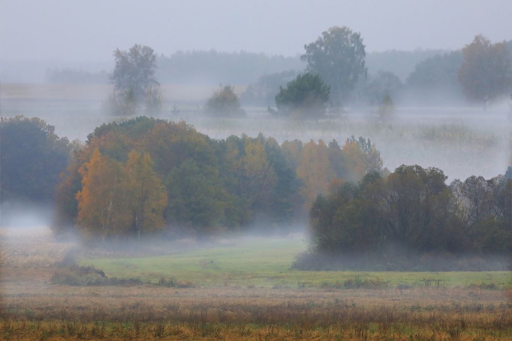 Дыхание осени