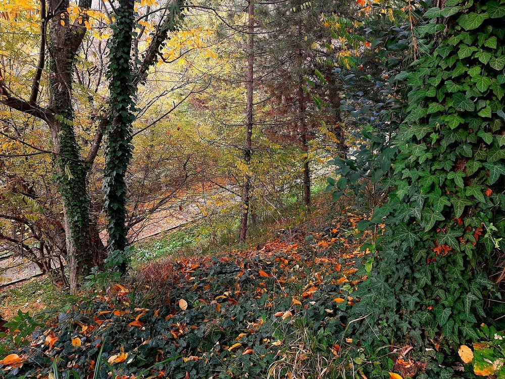 Фотография автора Aleksei Batiukov