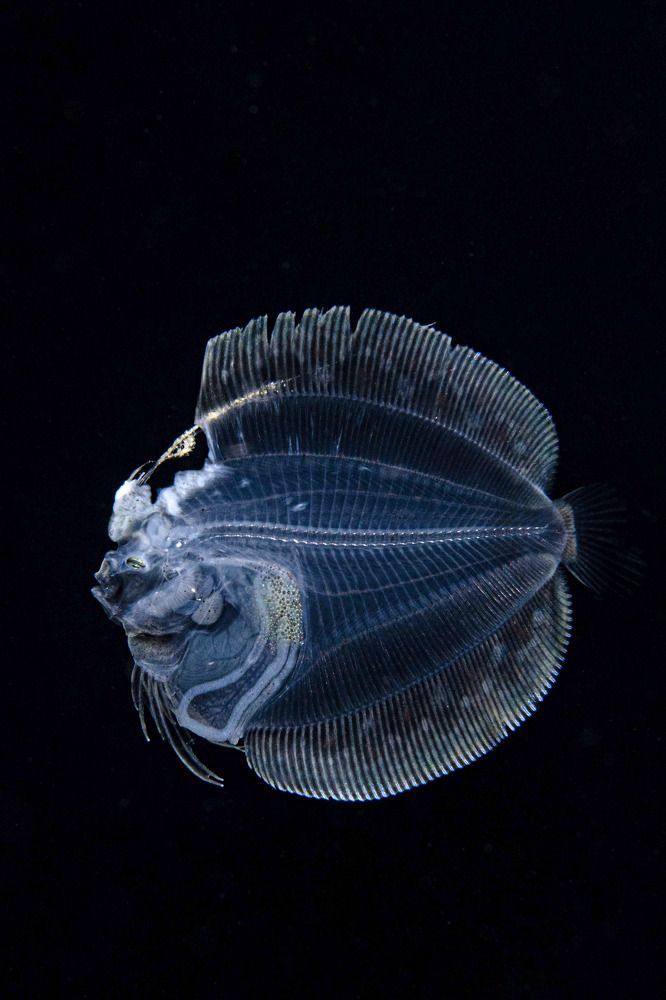 Photograph by Deniz muzaffer Gokmen