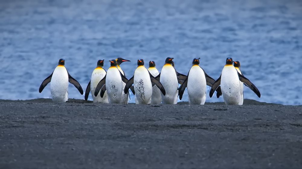 Морской патруль